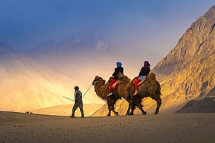 Nubra and Pangong tour, Ladakh