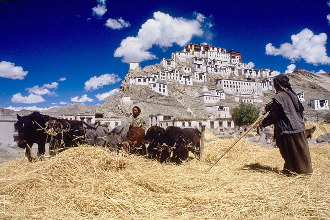 Buddhist Monasteries in Ladakh: Their History and Significance - Turuhi