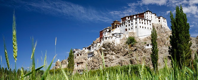 Spituk Monastery Gompa, Indus valley, Ladakh