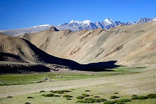 Leh-Ladakh Taxi Driver • Tours to Nubra, Pangong, Tso Moriri, Manali