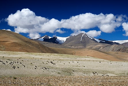 Tsaga La Pass, Ladakh