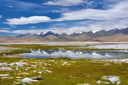 Tso Kar Lake, Ladakh